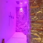San Liberale - & Wellness - Veneta 4* 펠트레